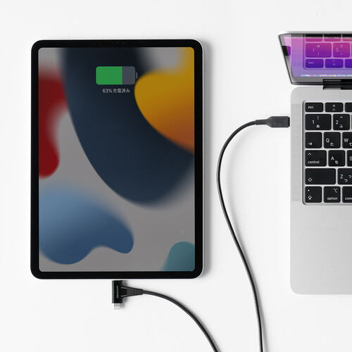 USB Type-C Lightning 2in1 USBケーブル（1.2m・USB PD60W対応・データ転送・MFi認証品・iPad（第10世代）・iPhone15/14対応・ブラック）