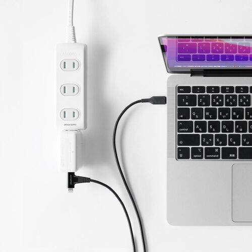 USB Type-C Lightning 2in1 USBケーブル（1.2m・USB PD60W対応・データ転送・MFi認証品・iPad（第10世代）・iPhone15/14対応・ブラック）