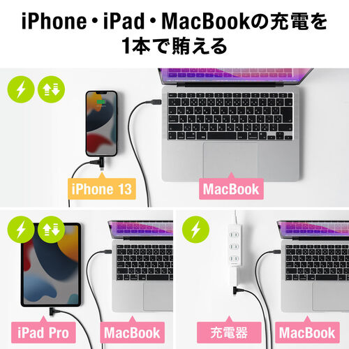 USB Type-C Lightning 2in1 USBケーブル（1.2m・USB PD60W対応・データ転送・MFi認証品・iPad（第10世代）・iPhone15/14対応・ブラック）