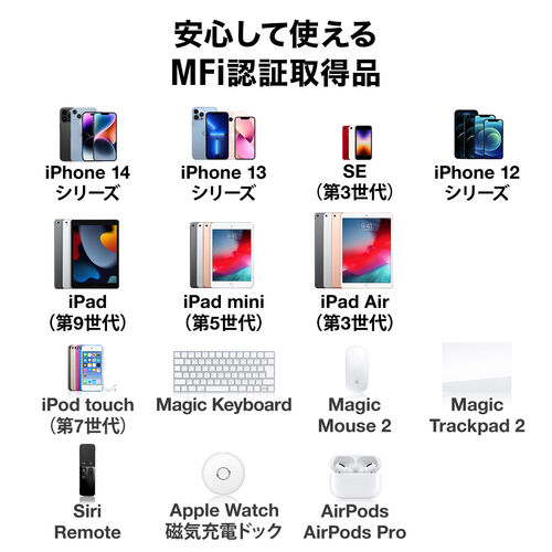 USB Type-C Lightning 2in1 USBケーブル（1.2m・USB PD60W対応・データ転送・MFi認証品・iPad（第10世代）・iPhone15/14対応・ブラック）
