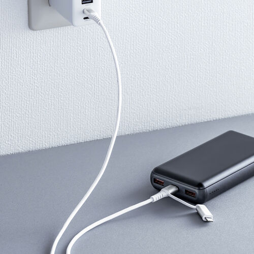 USB Type-C Lightning 2in1 USBケーブル（1m・TypeC-C・PD60W対応・MFi認証品・データ転送・iPad iPhone13，14，15，16・メッシュケーブル）