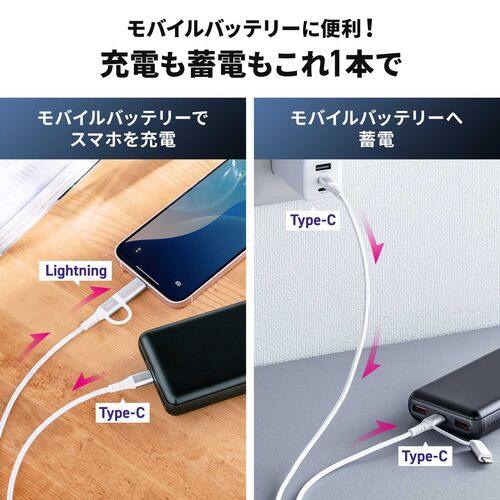 USB Type-C Lightning 2in1 USBケーブル（1m・TypeC-C・PD60W対応・MFi認証品・データ転送・iPad iPhone13，14，15，16・メッシュケーブル）
