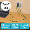 USB Type-C LAN変換ケーブル（1m・カテゴリ6・RJ45・ギガビット・PD100W・C to LAN・MACアドレスパススルー対応・への字ラッチ・メッシュケーブル）