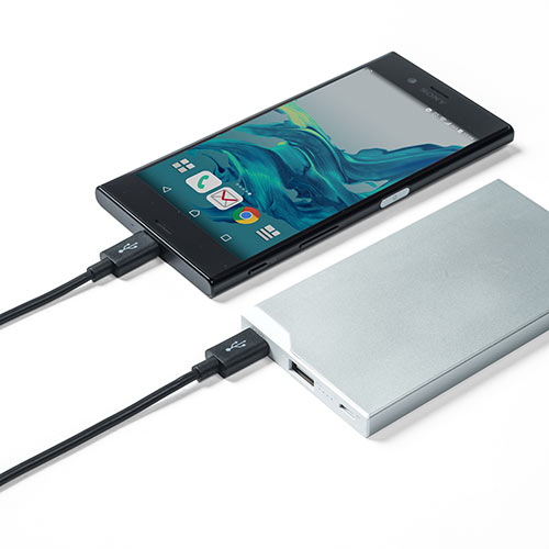 USB タイプCケーブル（USB2.0対応・Type-Cオス/Type-Cオス・USB-IF認証済み・1m・ブラック）