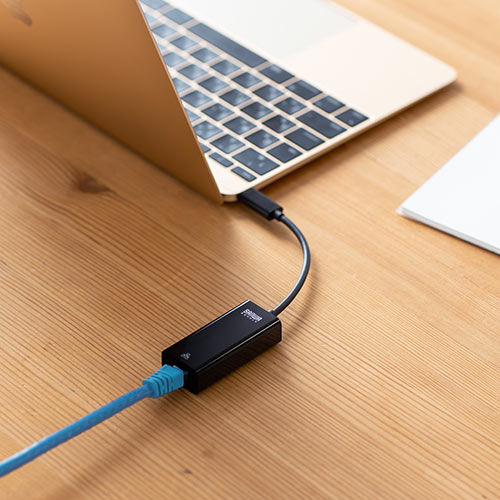 有線LANアダプター Type-C イーサネットアダプタ MacBook ChromeBook
