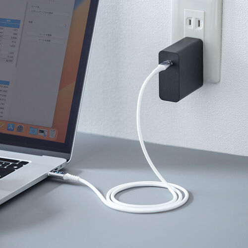 PD電力表示機能付き USB Type-Cケーブル（USB PD100W対応・e-marker搭載・1m・やわらかシリコンケーブル・USB2.0・充電・データ転送・スマホ タブレット・ホワイト）