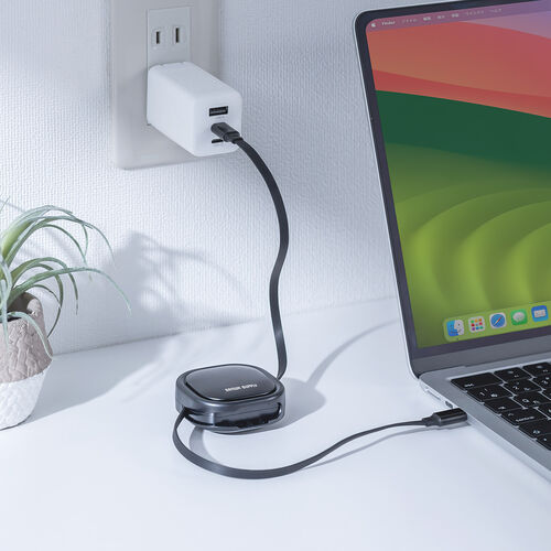 巻き取り式 USB Type-Cケーブル（両引き・CtoC・1.2m・PD60W・充電ケーブル・データ転送・持ち運び・iPad・iPhone・スマホ・タブレット・ブラック）