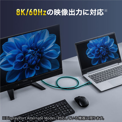 USB Type-Cケーブル（USB PD100W対応・電力表示機能・1m・USB4・USB 20Gbps・8K/60Hz対応・シリコンケーブル・充電 データ転送・映像伝送・iPhone 16対応）