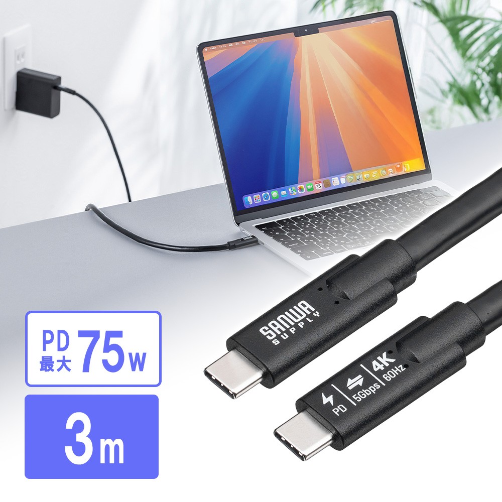 USB Type-Cケーブル（3m・Type-C映像出力対応・USB PD75W対応・4K/60Hz・Altモード・5Gbps・充電・データ転送・ブラック・電子黒板）