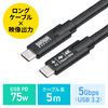 USB Type-Cケーブル（5m・Type-C映像出力対応・USB PD75W対応・4K/60Hz・Altモード・5Gbps・充電・データ転送・ブラック・電子黒板）
