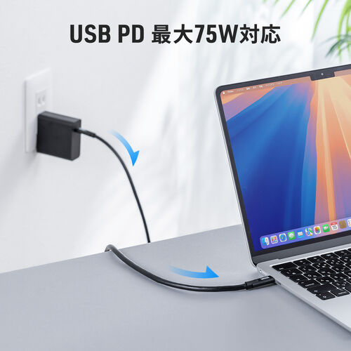 USB Type-Cケーブル（5m・Type-C映像出力対応・USB PD75W対応・4K/60Hz・Altモード・5Gbps・充電・データ転送・ブラック・電子黒板）