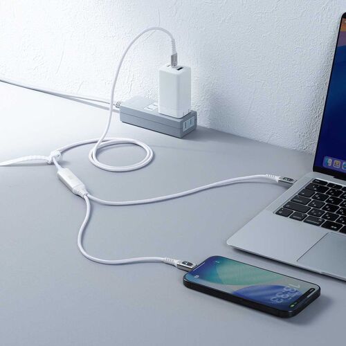 USB Type-C ケーブル（急速充電・PD100W・二股ケーブル・2-in-1・電力表示・ナイロンメッシュ・自動分配・2台同時充電・充電のみ・データブロック・1.2m・ホワイト）