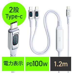 USB Type-C ケーブル（急速充電・PD100W・二股ケーブル・2-in-1・電力表示・ナイロンメッシュ・自動分配・2台同時充電・充電のみ・データブロック・1.2m・ホワイト）