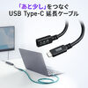 USB Type-C 延長ケーブル（PD100W・映像出力・4K60Hz・Altモード・USB5Gbps・高速通信・3重シールド構造・1m）