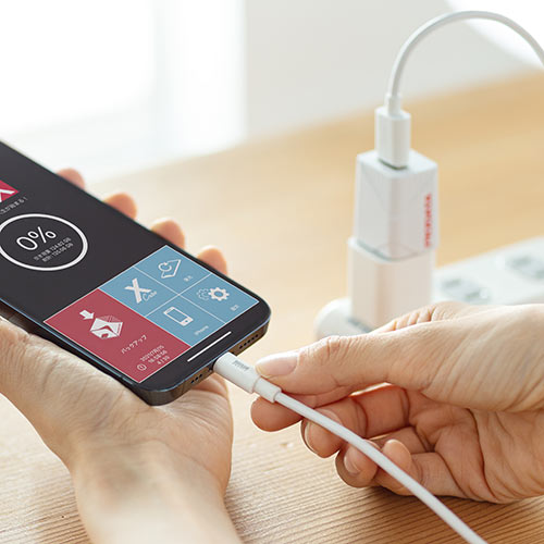 iPhone iPad バックアップ USBメモリ 256GB MFi認証  USB3.2 Gen1(USB3.1/3.0)