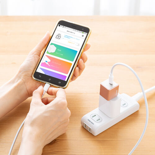 Qubii （EX・タイプC・256GB・メモリ内蔵 ・PD60W・高速充電 ・メモリ内蔵・Android・自動バックアップ・パソコン不要・iPad・iPhone15）IPLBC256GP