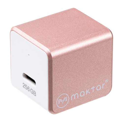 Qubii （EX・タイプC・256GB・メモリ内蔵 ・PD60W・高速充電 ・メモリ内蔵・Android・自動バックアップ・パソコン不要・iPad・iPhone15）IPLBC256GP