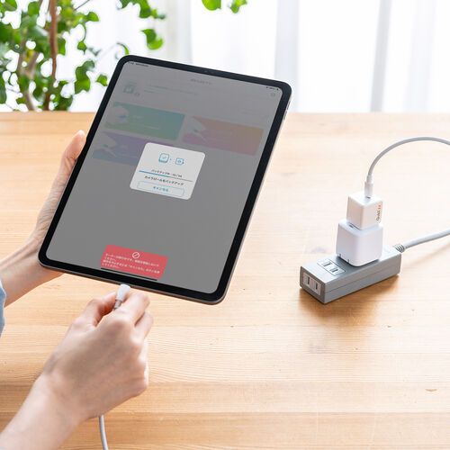 Qubii （EX・タイプC・256GB・メモリ内蔵 ・PD60W・高速充電 ・Android・自動バックアップ・パソコン不要・iPad・iPhone15・ホワイト）IPLBC256GW