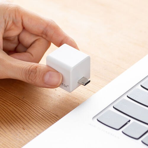 Qubii （EX・タイプC・256GB・メモリ内蔵 ・PD60W・高速充電 ・Android・自動バックアップ・パソコン不要・iPad・iPhone15・ホワイト）IPLBC256GW