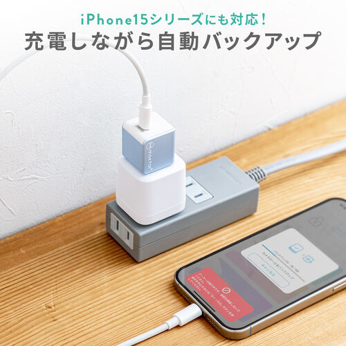 Qubii （EX・タイプC・256GB・メモリ内蔵 ・PD60W・高速充電 ・Android・自動バックアップ・パソコン不要・iPad・iPhone15・ホワイト）IPLBC256GW