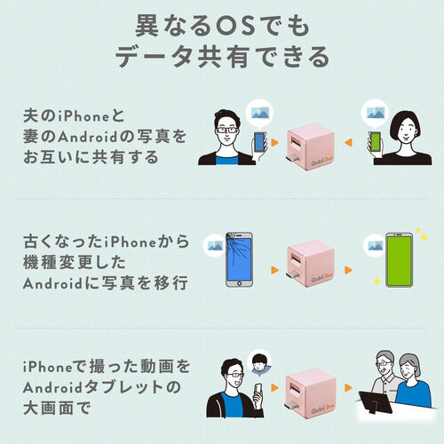 Qubii （EX・タイプC・256GB・メモリ内蔵 ・PD60W・高速充電 ・Android・自動バックアップ・パソコン不要・iPad・iPhone15・ホワイト）IPLBC256GW