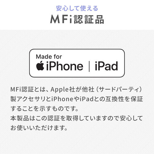 USBメモリ （タイプC・iPad・iPhone・android・ライトニング・小型・256GB・パソコン・バックアップ・プレゼント・おすすめ・おしゃれ・人気・グレー）IPLUC256GGY