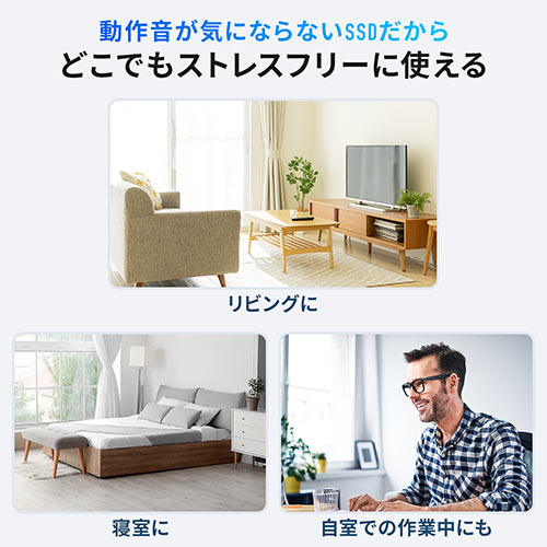 外付けSSD(512GB・容量・PC・ゲーム・シルバー・おすすめ）USSD512GS サンワサプライ