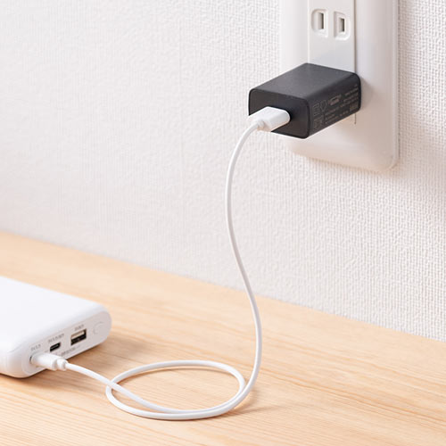 USB充電器（1ポート・2A・コンパクト・PSE取得・iPhone/Xperia充電対応・ブラック）