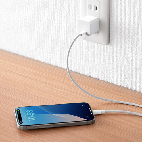 USB-C充電器（AC充電器・PD20W・急速充電・超小型・コンパクト・PSE取得・iPhone・iPad・スマホ・タブレット・Switch）