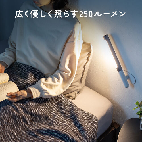 LEDライト（壁面取り付け・ウォールライト・ハンディライト・USB充電式・250ルーメン・明るさ3段階・色温度2種類・温白色・電球色）