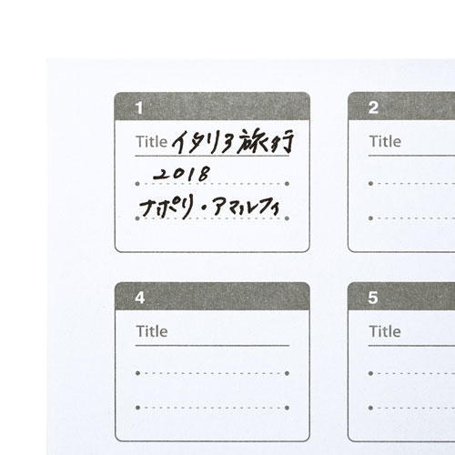 メモリーカード収納ケース（DVDトールケース型・SDカード、microSDカード用・合計48枚収納可能）