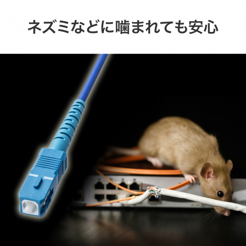 OS2 光ファイバケーブル（1m・アーマード1芯・シングルモード・SC-SC・光回線ONU対応・ブルー）HKB-AM1SCSC1-01