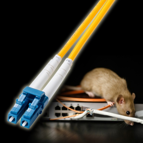 光ファイバケーブル（補強メガネ型・2芯・シングルモード・9μm・LC×2-LC×2・10ギガ・1m）