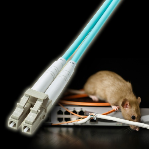 光ファイバケーブル（補強メガネ型・2芯・マルチモード・OM3・50μm・LC×2-LC×2・10ギガ・3m）