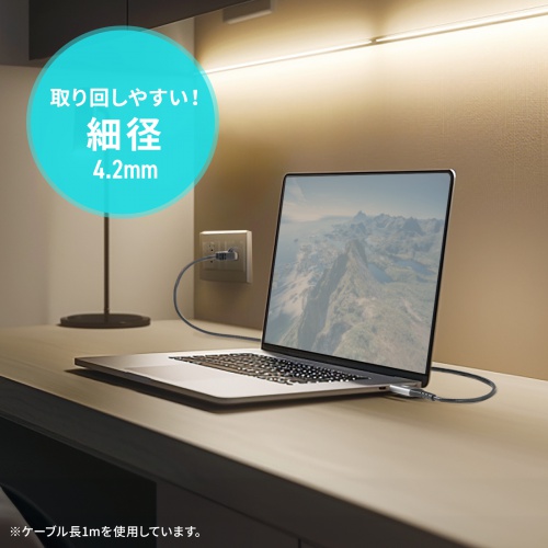 USB Type-C LAN変換ケーブル（カテゴリ6・1Gbps・ギガビット・C to LAN・MACアドレスパススルー対応・ビデオ通話・ゲーム・1m）