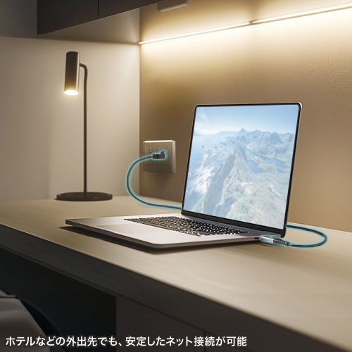 USB Type-C LAN変換ケーブル（カテゴリ6・1Gbps・ギガビット・C to LAN・MACアドレスパススルー対応・ビデオ通話・ゲーム・2m）