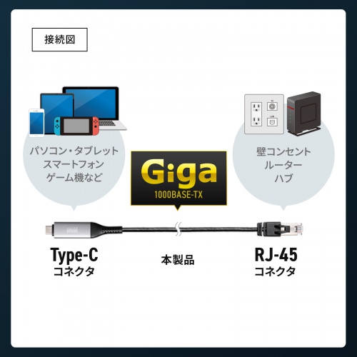USB Type-C LAN変換ケーブル（カテゴリ6・1Gbps・ギガビット・C to LAN・MACアドレスパススルー対応・ビデオ通話・ゲーム・2m）