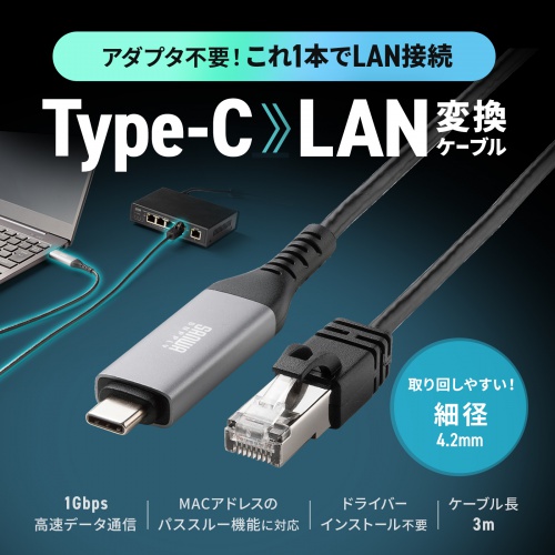USB Type-C LAN変換ケーブル（カテゴリ6・1Gbps・ギガビット・C to LAN・MACアドレスパススルー対応・ビデオ通話・ゲーム・3m）