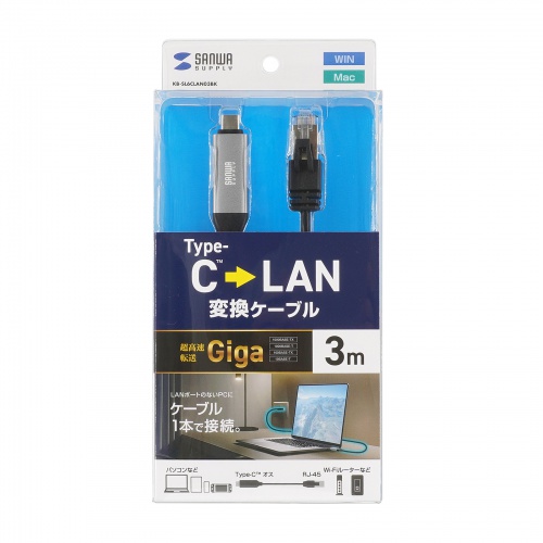 USB Type-C LAN変換ケーブル（カテゴリ6・1Gbps・ギガビット・C to LAN・MACアドレスパススルー対応・ビデオ通話・ゲーム・3m）