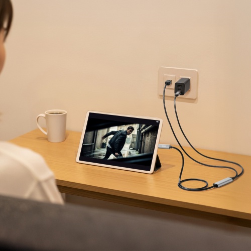 USB Type-C LAN変換ケーブル（PD100W充電・1m・カテゴリ6A・1Gbps・ギガビット C to LAN・MACアドレスパススルー対応・ビデオ通話・ゲーム）