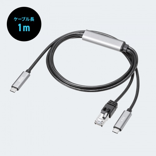 USB Type-C LAN変換ケーブル（PD100W充電・1m・カテゴリ6A・1Gbps・ギガビット C to LAN・MACアドレスパススルー対応・ビデオ通話・ゲーム）