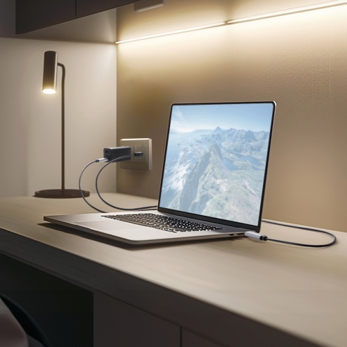 USB Type-C LAN変換ケーブル（PD100W充電・2m・カテゴリ6A・1Gbps・ギガビット・C to LAN・MACアドレスパススルー対応・ビデオ通話・ゲーム）