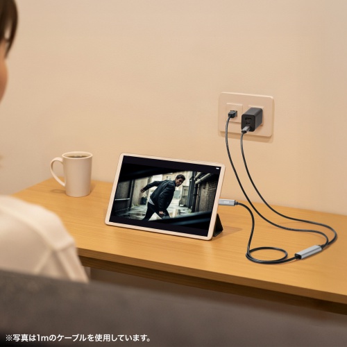 USB Type-C LAN変換ケーブル（PD100W充電・2m・カテゴリ6A・1Gbps・ギガビット・C to LAN・MACアドレスパススルー対応・ビデオ通話・ゲーム）