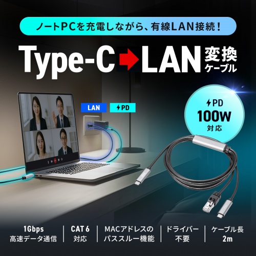 USB Type-C LAN変換ケーブル（PD100W充電・2m・カテゴリ6A・1Gbps・ギガビット・C to LAN・MACアドレスパススルー対応・ビデオ通話・ゲーム）