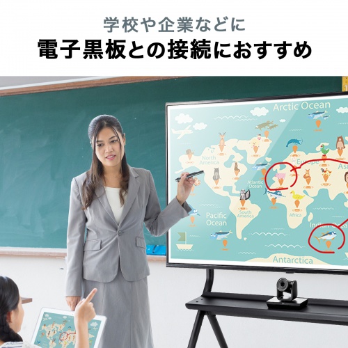 DisplayPortAltモード TypeC ACTIVEケーブル  (8.1Gbps×2・5m・ブラック)