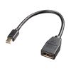 Mini DisplayPort変換ケーブル（15cm・DisplayPortメス変換・4K/60Hz対応・映像出力・音声出力・DPCP・HDCP）