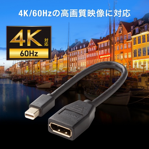Mini DisplayPort変換ケーブル（15cm・DisplayPortメス変換・4K/60Hz対応・映像出力・音声出力・DPCP・HDCP）