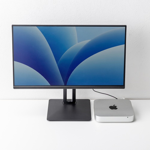 HDMIケーブル（0.3m・スリムタイプ・4K/30Hz・ハイスピードHDMIケーブル・極細・ARC対応・HEC対応・モバイルモニター/テレビ配線用・持ち運び用）