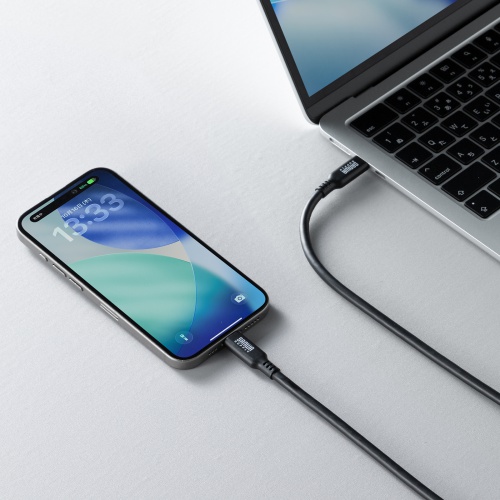 USB-C Type-Cケーブル（1m・PD100W・10Gbps・4K/60Hz映像出力・高速データ転送・ブラック）