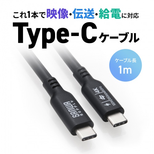 USB-C Type-Cケーブル（1m・PD100W・10Gbps・4K/60Hz映像出力・高速データ転送・ブラック）